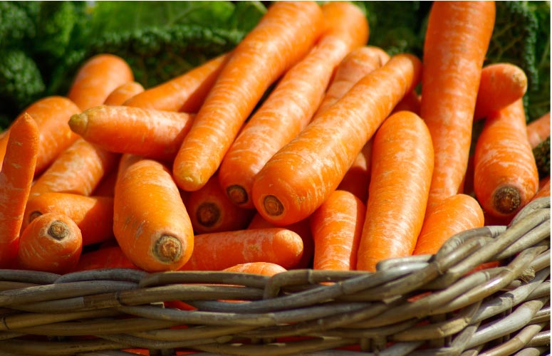 carrots in a basket
