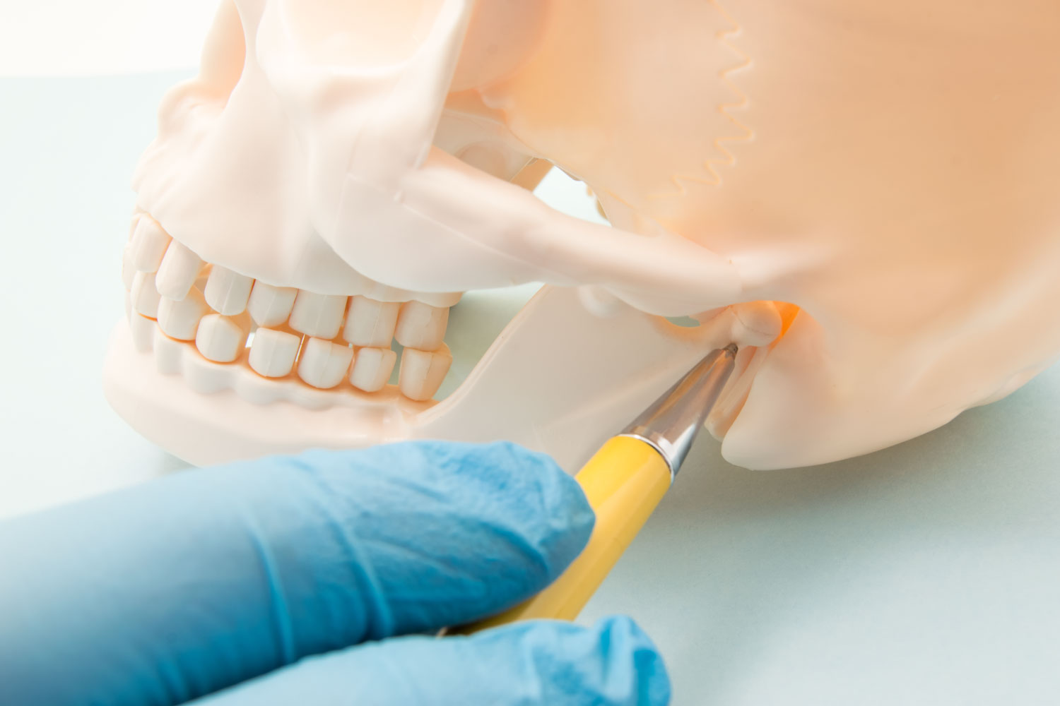 A blue gloved hand points to the temporomandibular join with a yellow pen